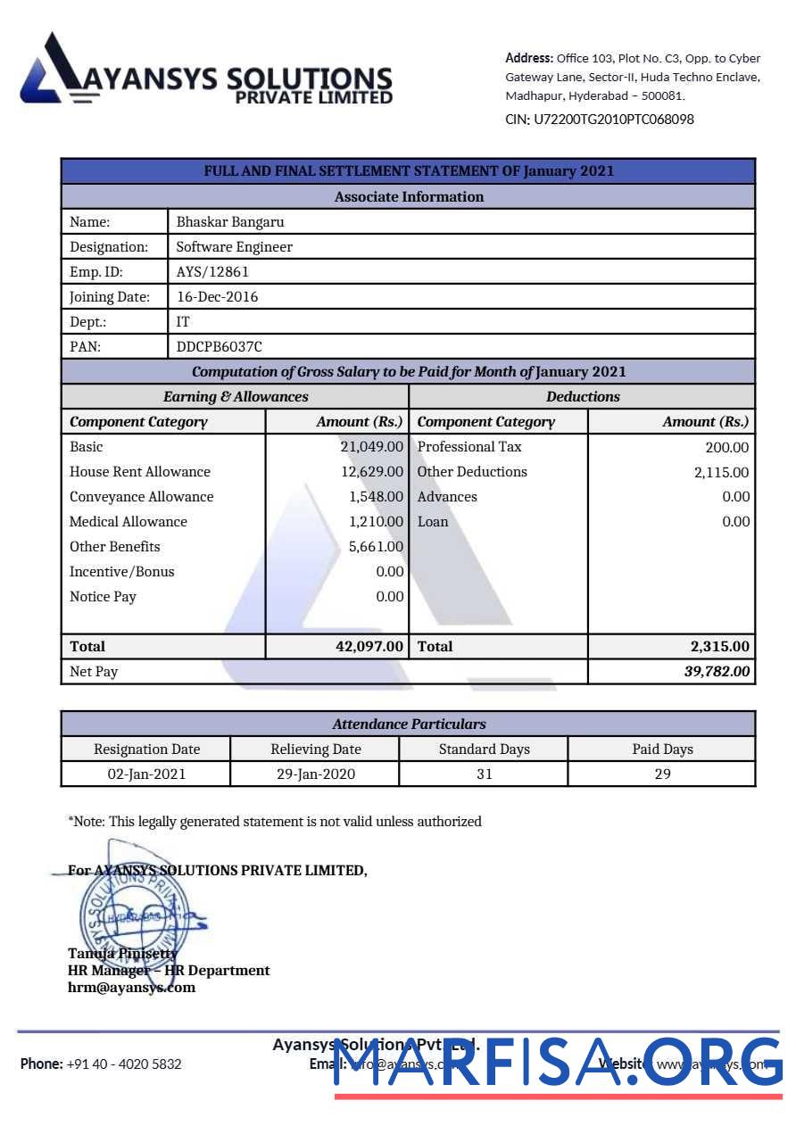 Realistic Ayansys Solutions software company real example